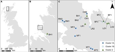 Do Local Habitat Conditions Affect Estimates of Relative Pollen Productivity and Source Area in Heathlands?